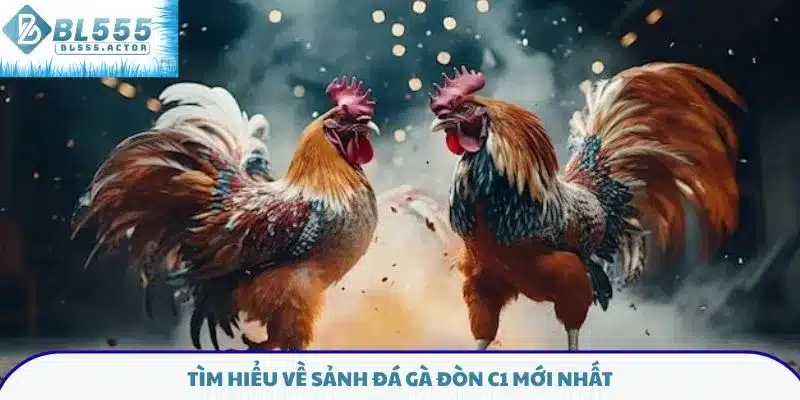 Tìm hiểu về sảnh đá gà đòn C1 mới nhất